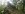Anhaltinischer-Salstein_22194