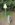 Drei-Laender-Stein_22283