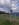 Scheibling_112969