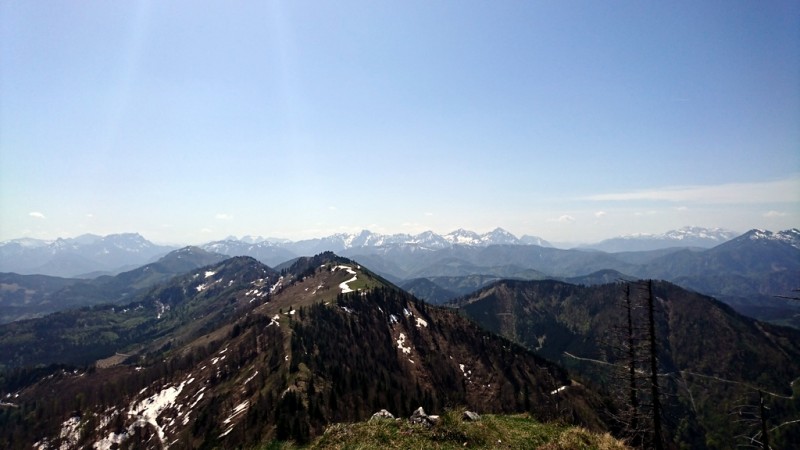 Almkogel (Kalkalpen) 1513m