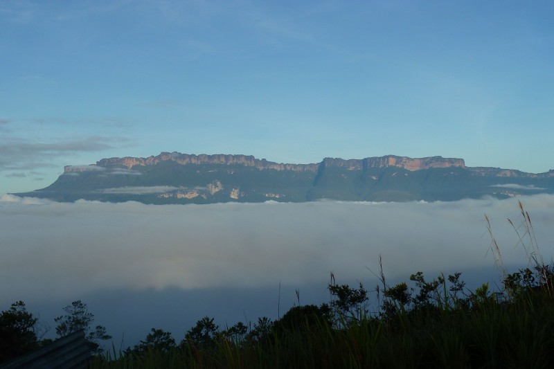 Auyan Tepui 2400m
