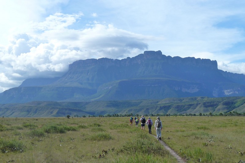 Auyan Tepui 2400m