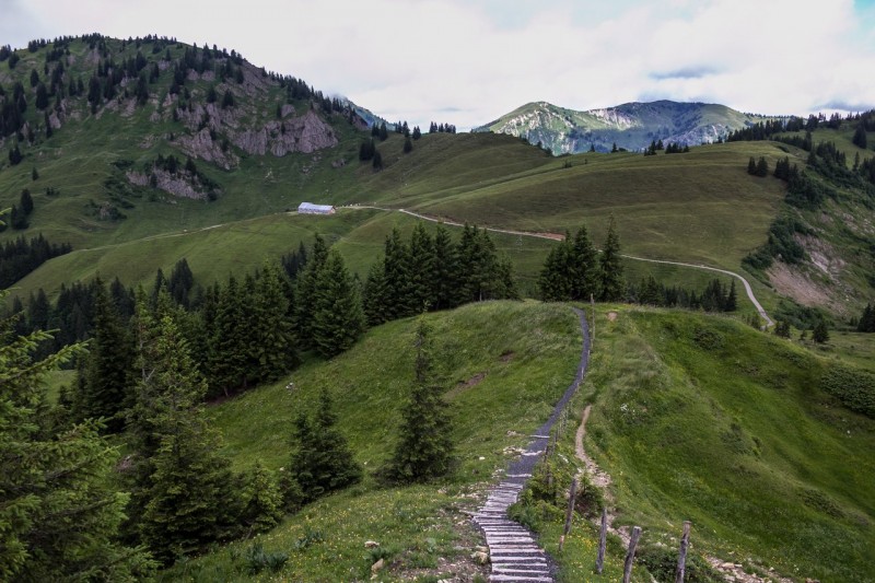 Bleicherhorn 1669m