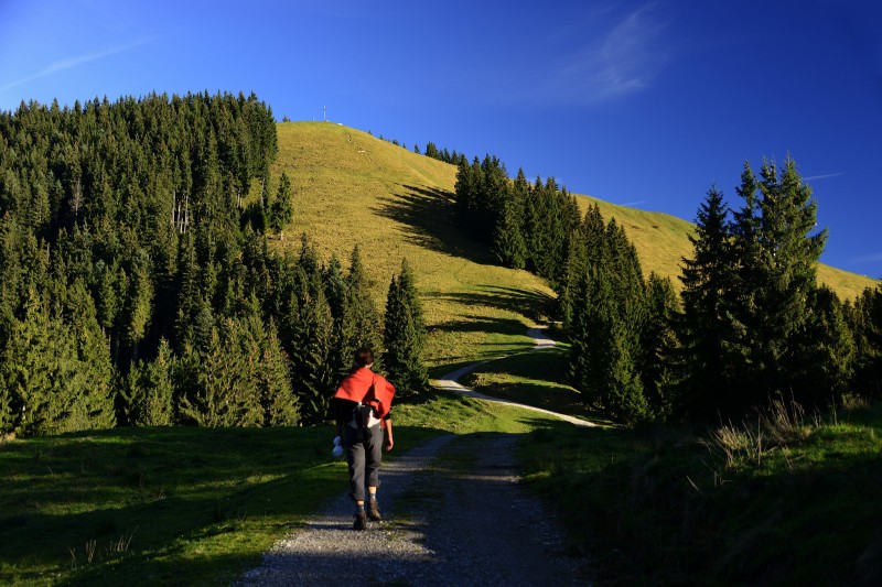 Blombergbahn 716m