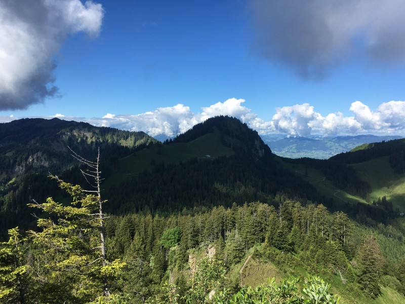 Bocksberg 1461m