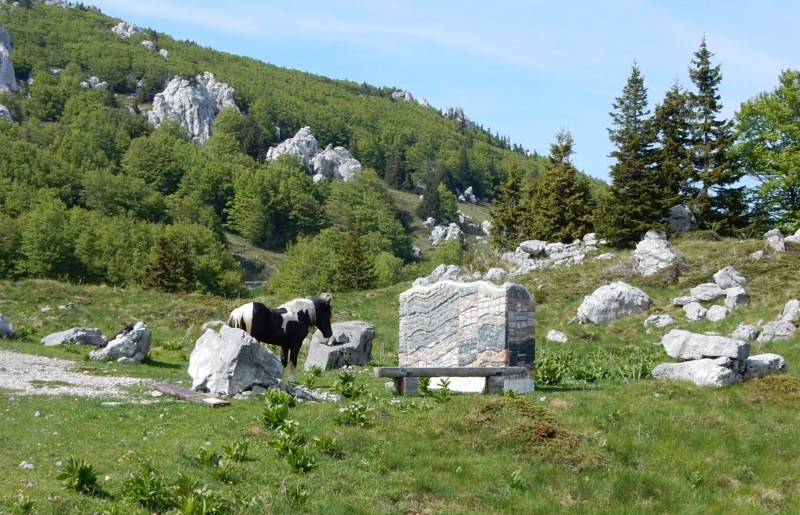 Botanischer Garten Zavizan 1477m
