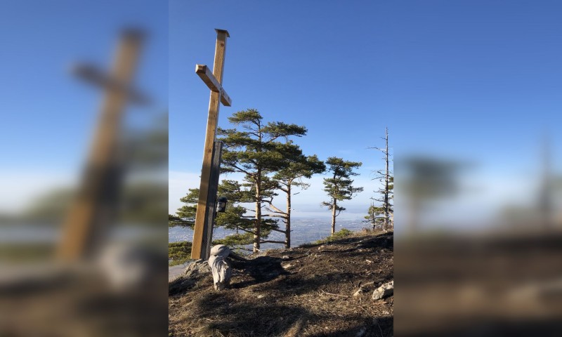 Breitenberg 1105m