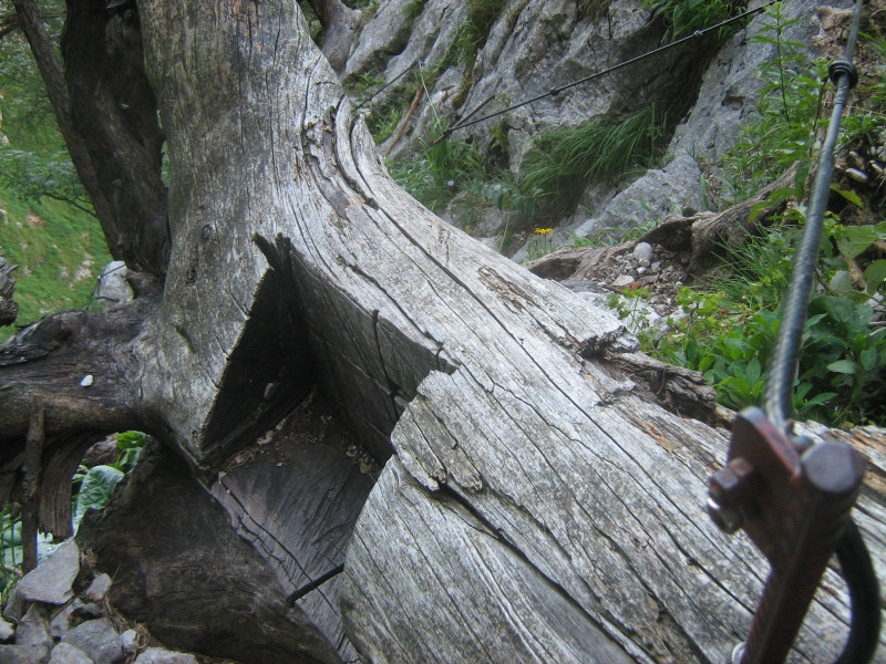 Brennerriesensteig 1260m