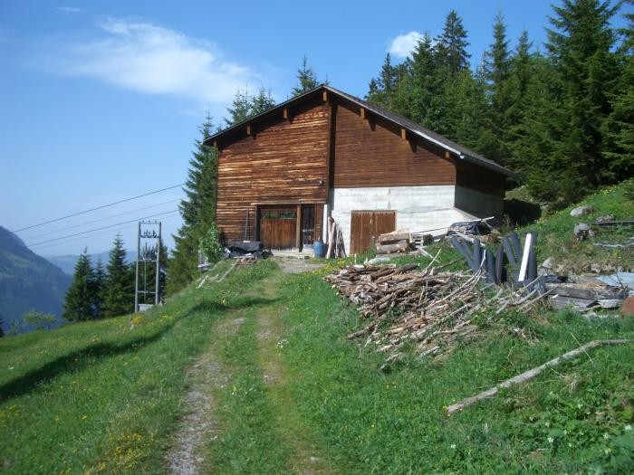 Brunniswald 1316m