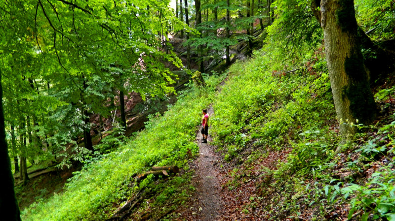 Buchensteig 469m
