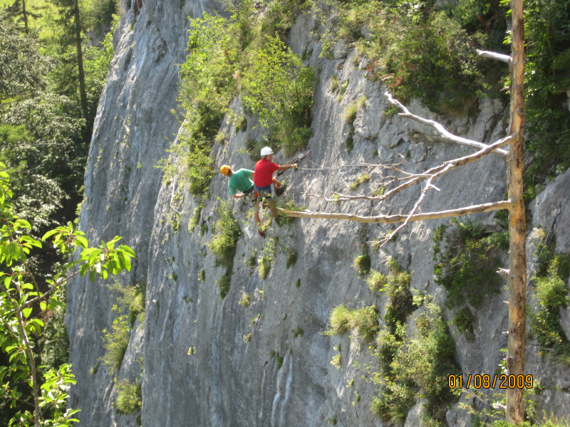 Burgstall Steig 727m