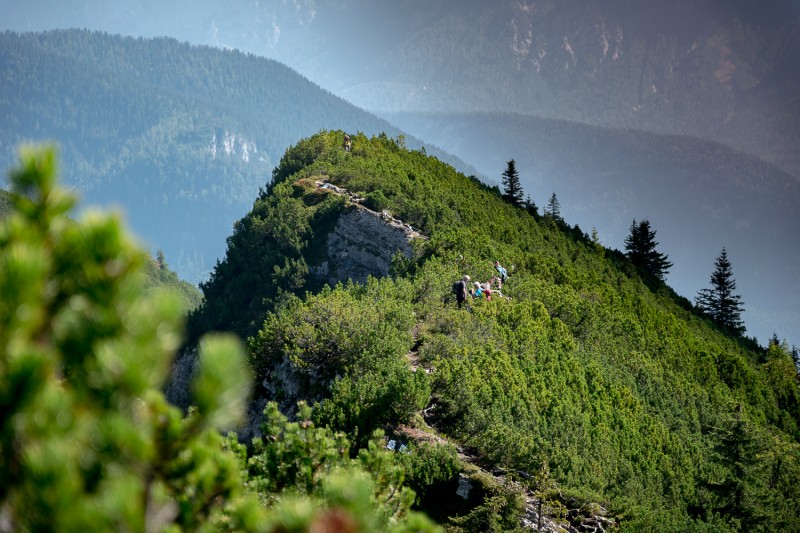 Drrnbachhorn 1765m