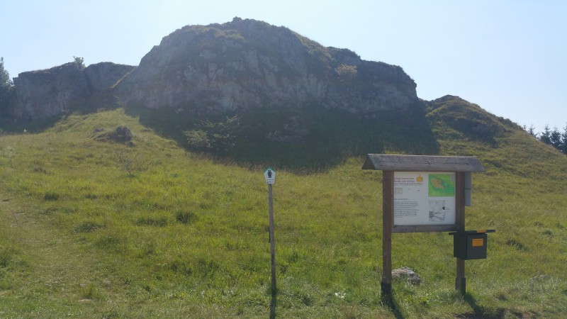 Galgenberg (Harz) 490m