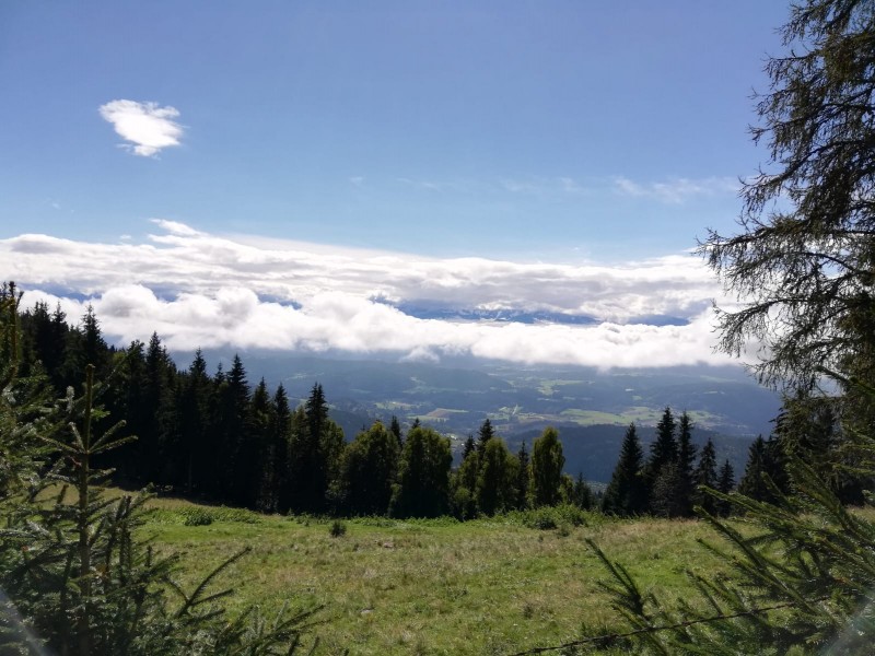 Galler Berg 1281m