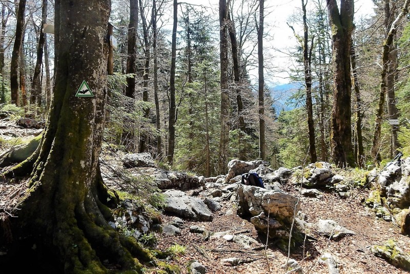 Glaswandscharte 1341m