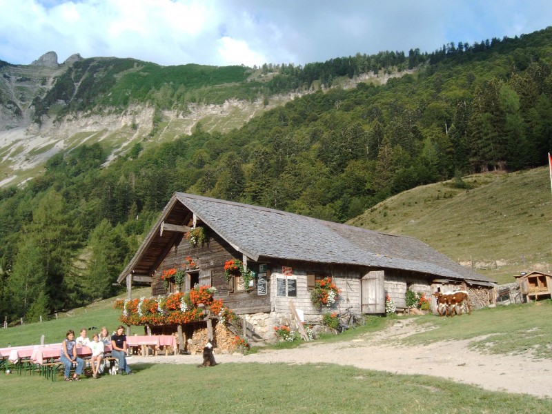 Mayerlehenh�tte 1036m