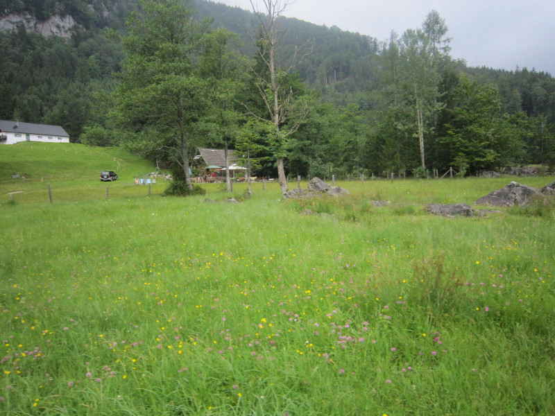 Gschwandtner Alm 747m