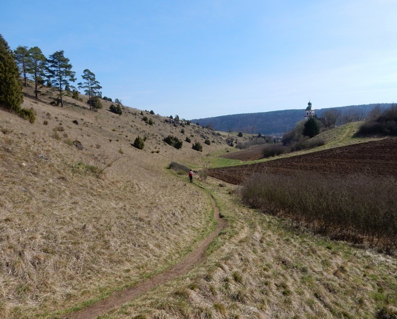 Gungoldinger Wacholderheide 439m
