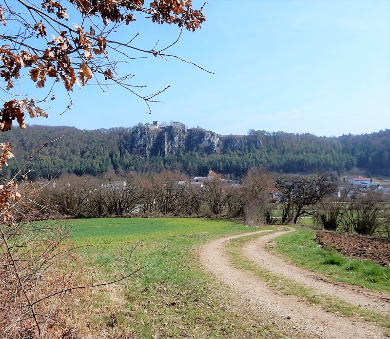 Gungoldinger Wacholderheide 439m