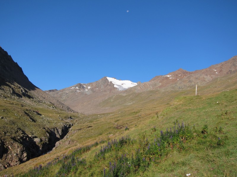 Hauslabkogel 3402m
