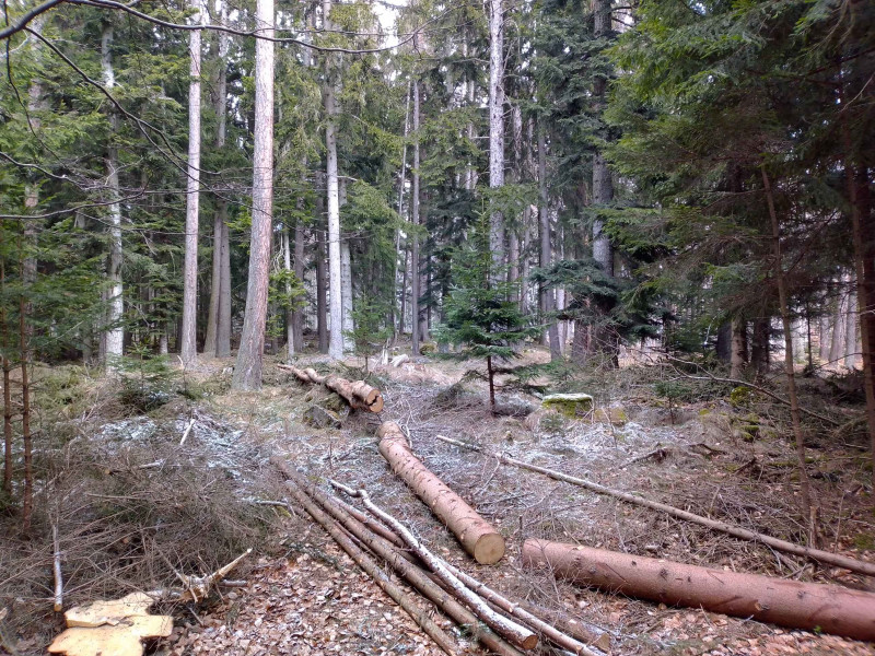 Hohenberg 1048m