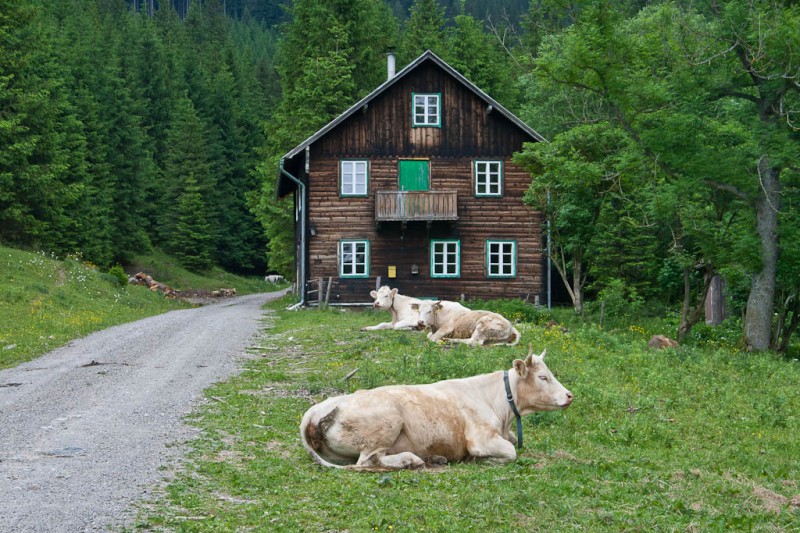 In der Nass 980m