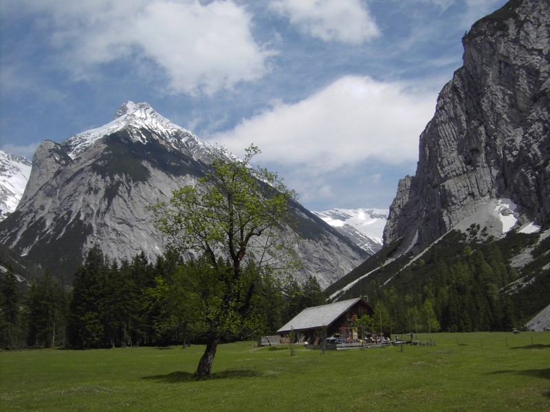 Kastenalm 1220m