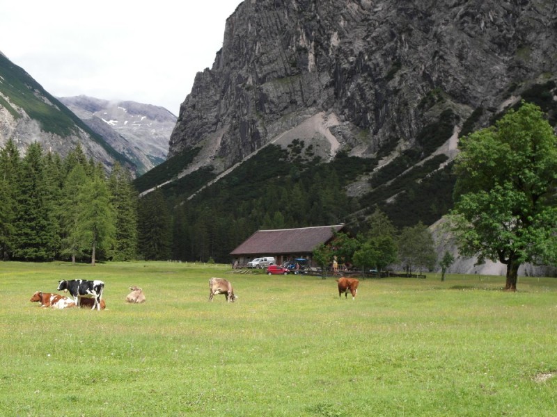 Kastenalm 1220m
