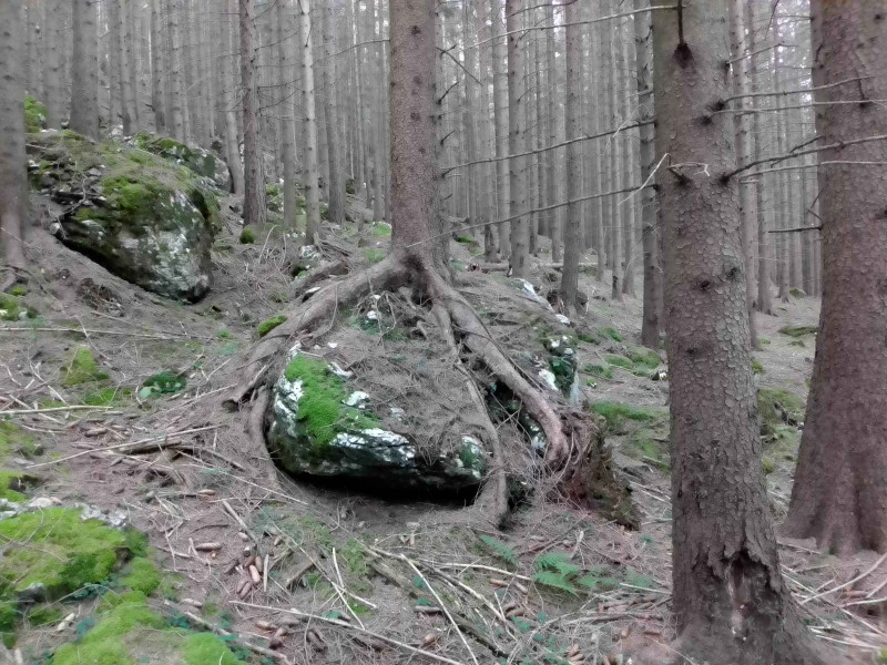Kleiner Ebenstein 1943m