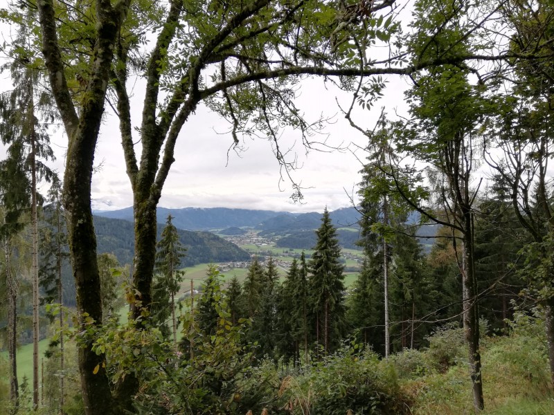 Lantschnig 990m