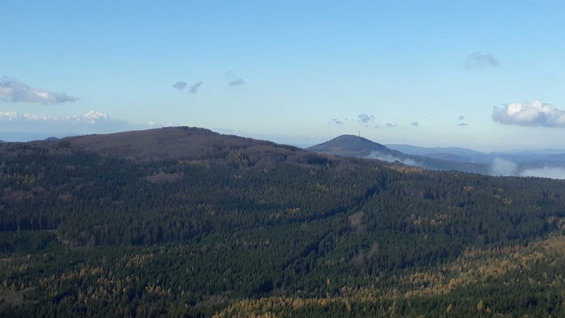 Lausche 793m