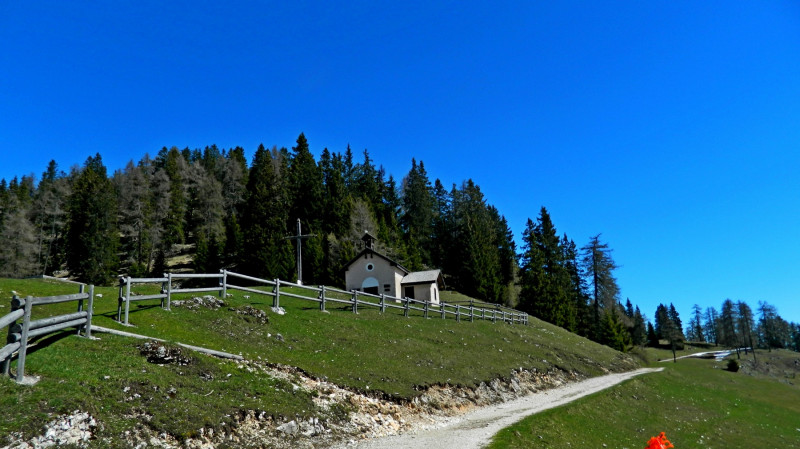 Malga di Romeno 1773m