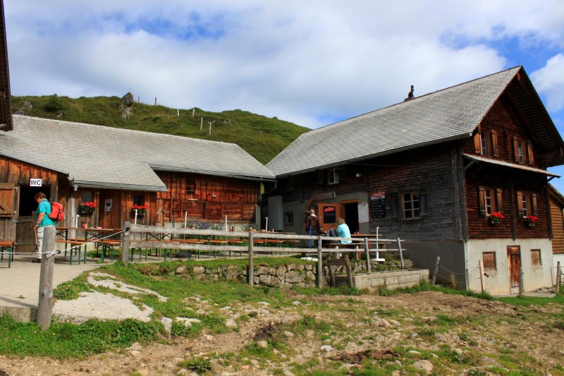 Musenalp (Beizli) 1750m