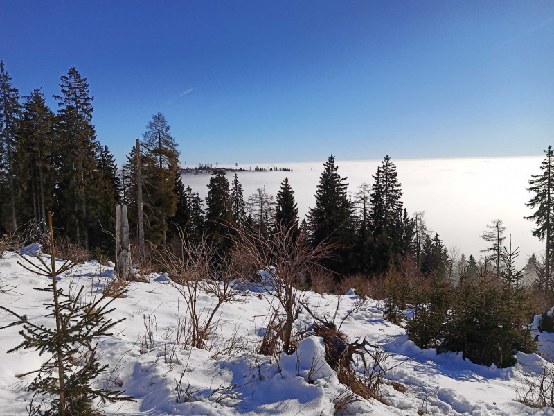 Niederer Sch�ckl 1342m