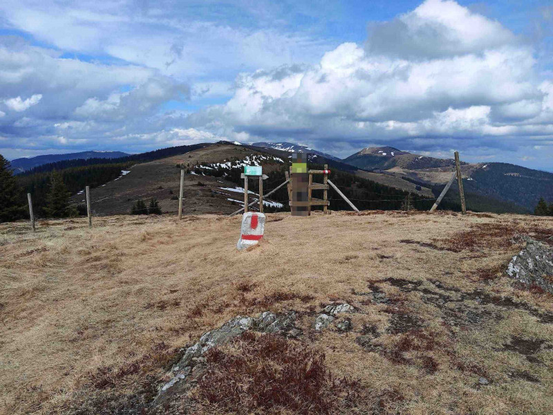 Ochsenkogel 1656m