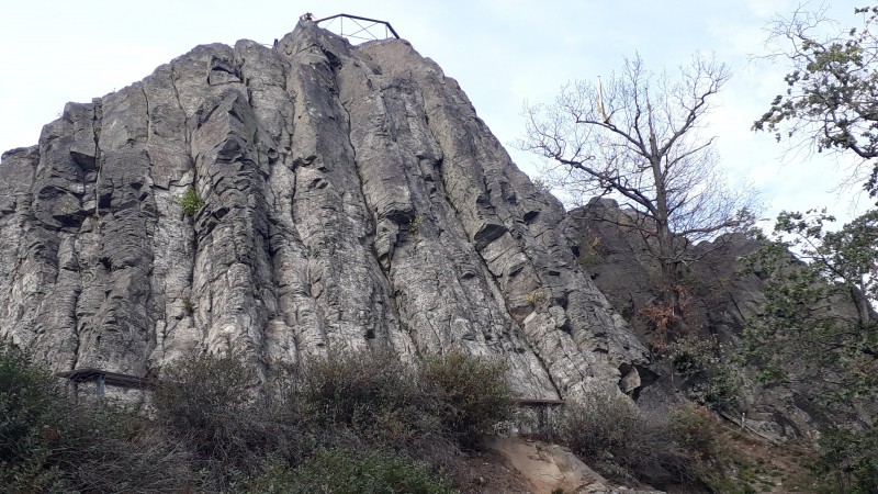 Oderwitzer Spitzberg 510m