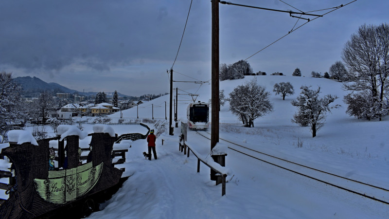 Pferdeeisenbahn Wanderweg 452m