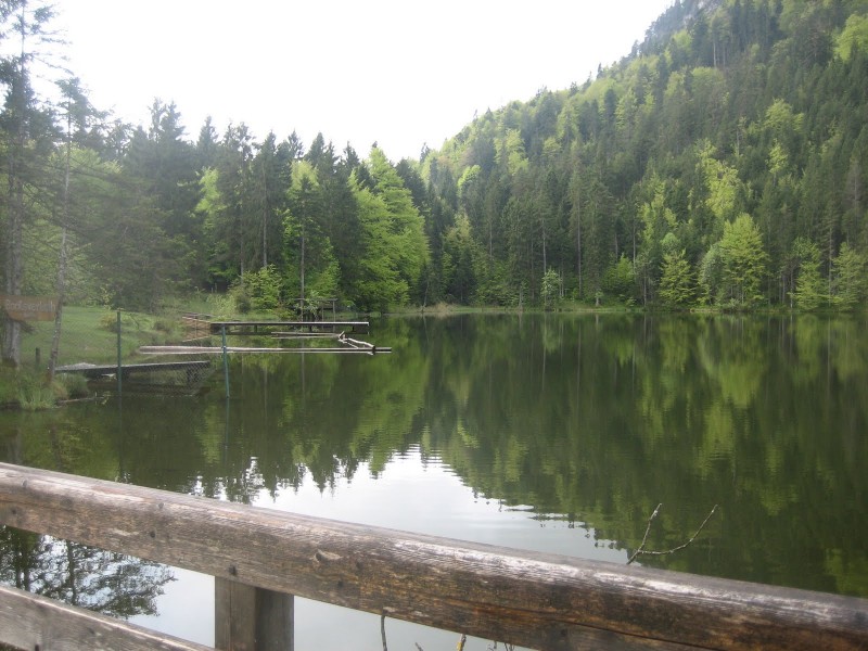 Pflegersee 849m