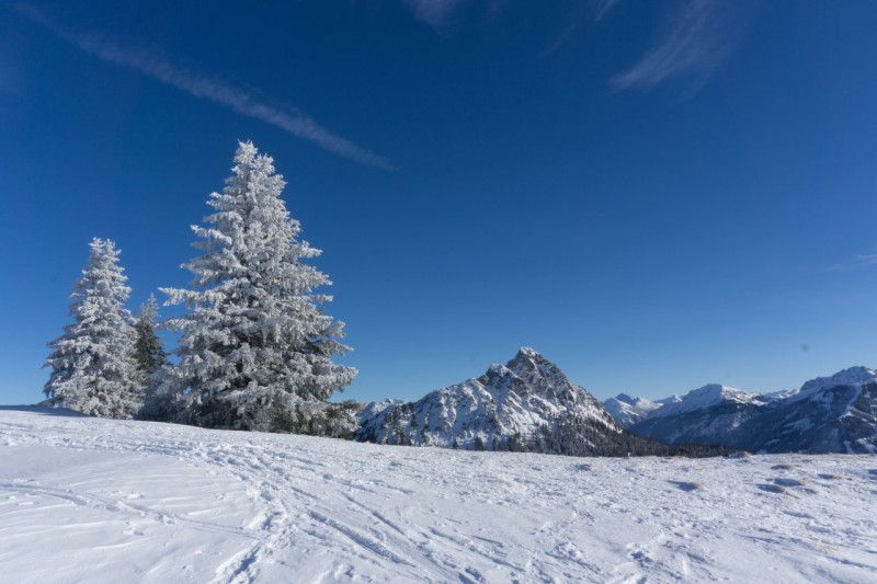 Pirschling 1634m