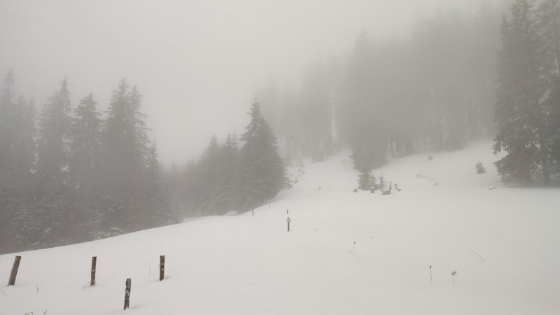 Platte (Ruhpolding) 1168m