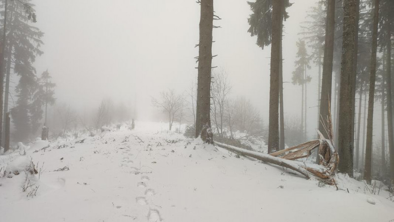 Platte (Ruhpolding) 1168m