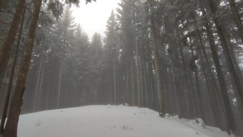 Platte (Ruhpolding) 1168m