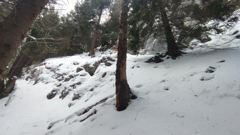 Poschinger Wand 1258m