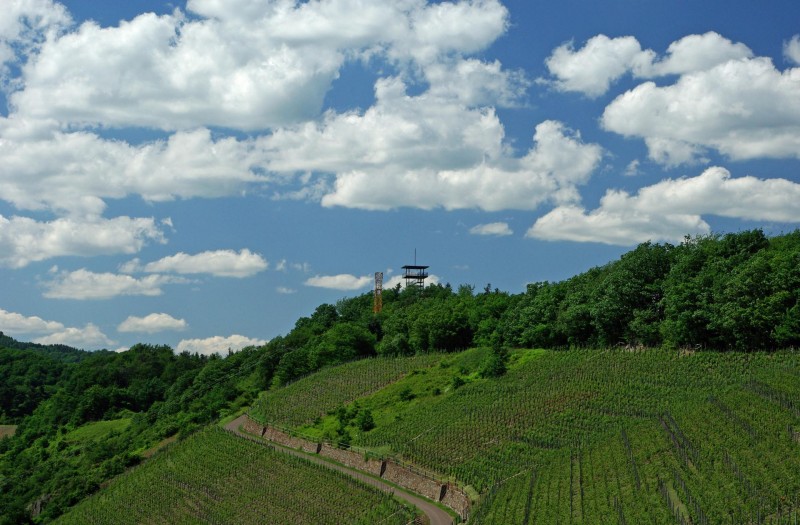 Prinzenkopf 237m