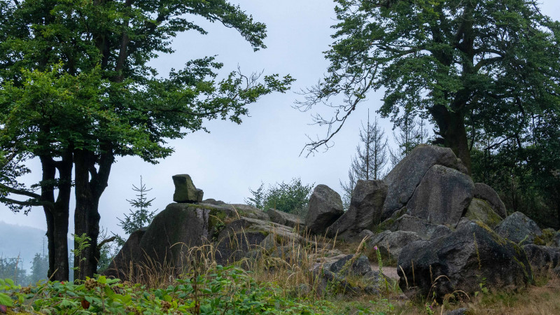 Rennsteig Ehrenmal 697m