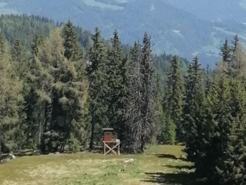 Schafkogel 1746m