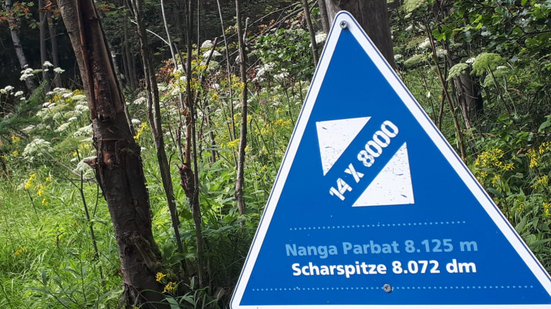 Scharspitze 807m