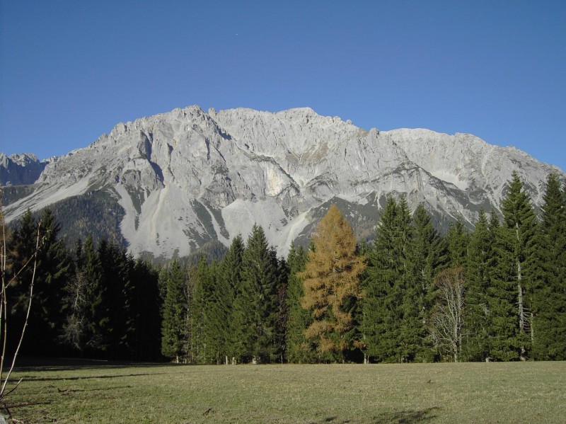 Scheichenspitze 2667m