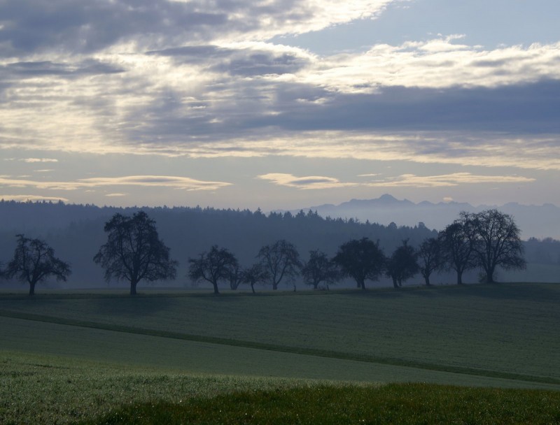 Schiener Berg 716m