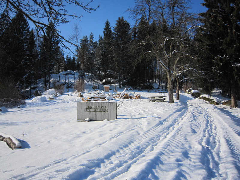 Schwammerling 575m